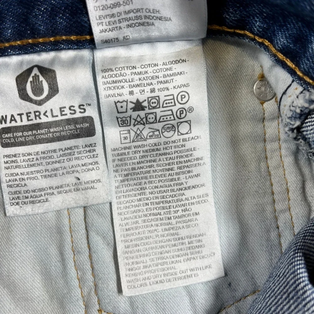 Levis levi 550
